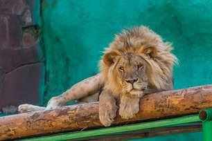 Алматинский зоопарк